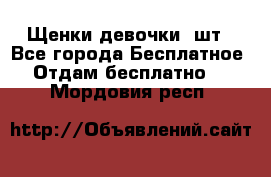 Щенки девочки 4шт - Все города Бесплатное » Отдам бесплатно   . Мордовия респ.